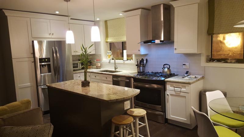 Frosted White Shaker Kitchen Cabinets
